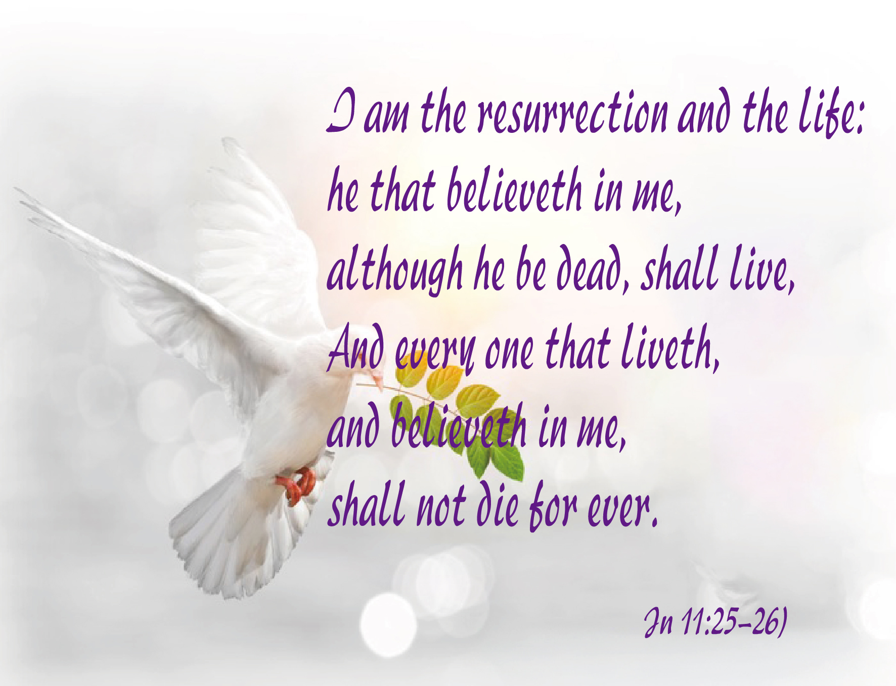22nd March 2026 Fifth Sunday Of Lent – 天主教聖方濟堂