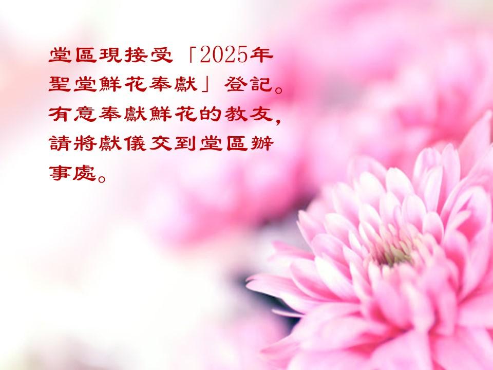 投影片4
