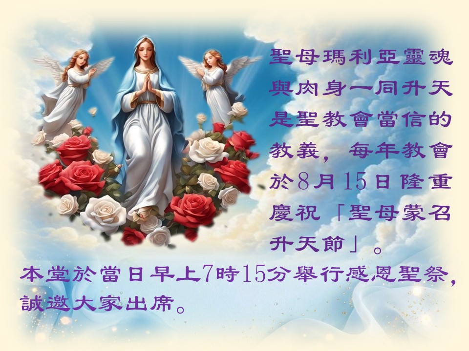 投影片1
