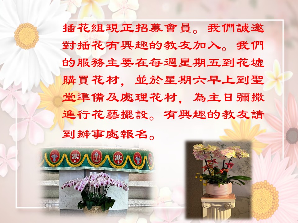 投影片5