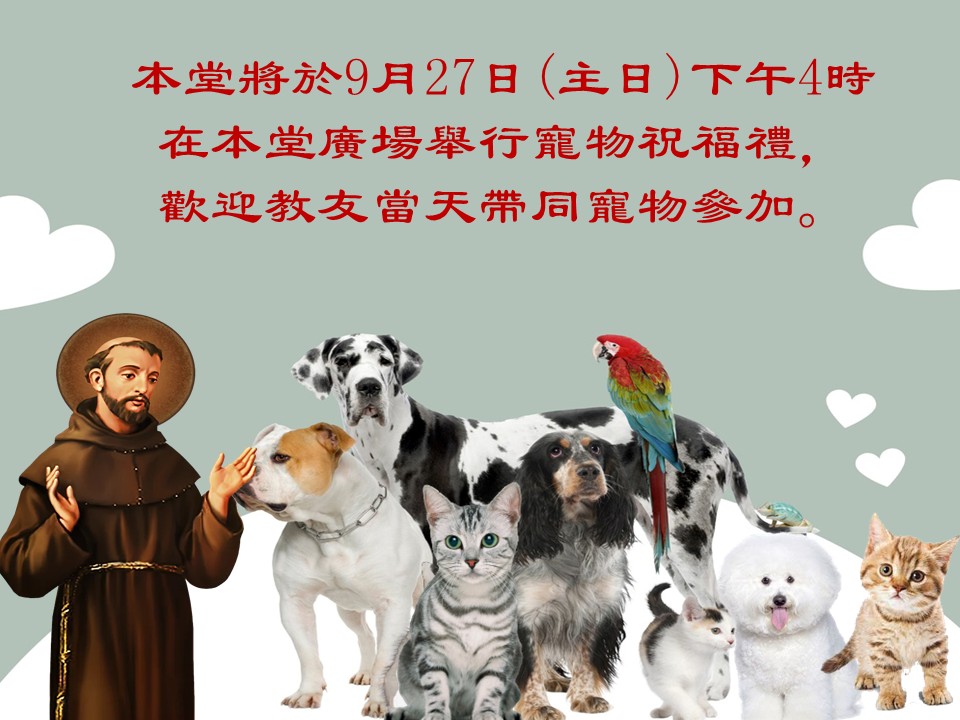 投影片2
