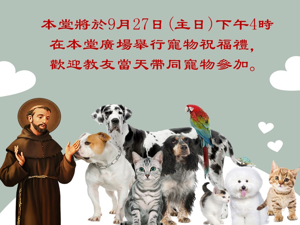 投影片3