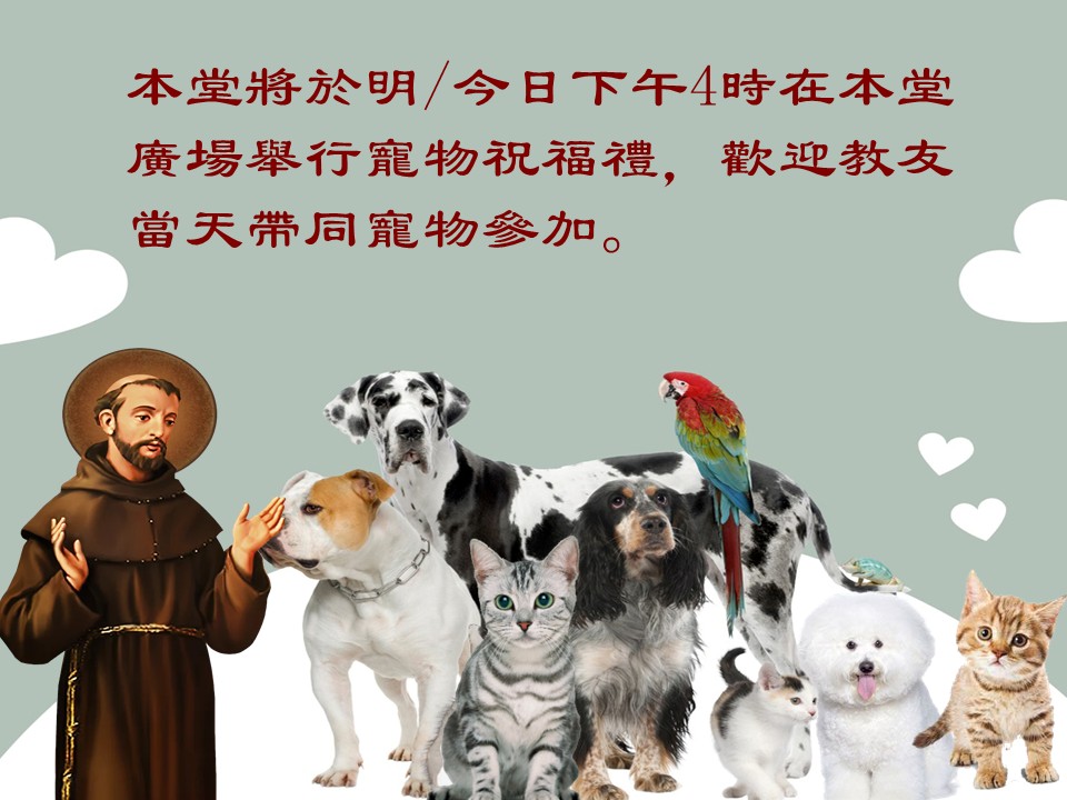 投影片5