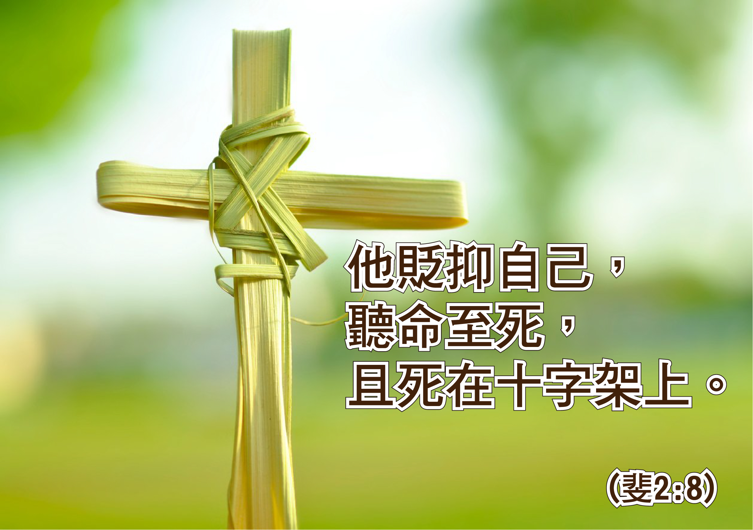2022年4月10日基督苦難主日(聖枝主日)第1132期靈泉 – 天主教聖方濟堂