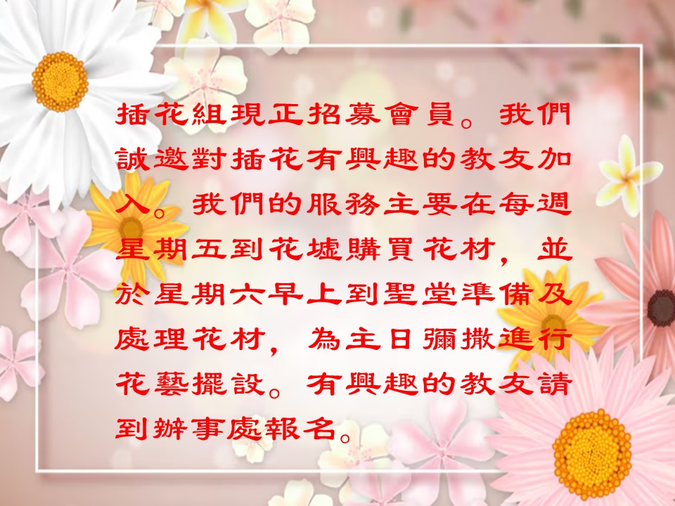 投影片4